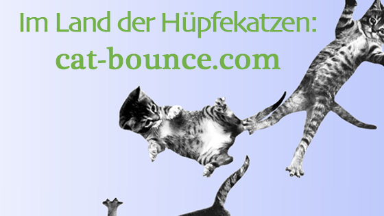 Im Land der Hüpfekatzen: cat-bounce.com