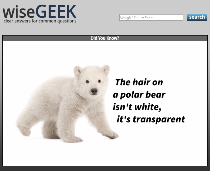 wiseGeek: polar bear fur