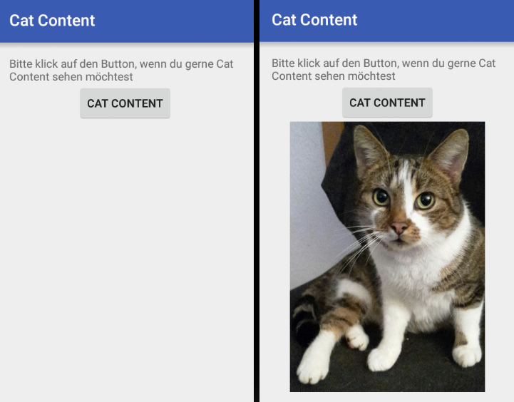 Vorher und Nachher: Klick auf "Cat Content" jetzt mit echtem Cat Content