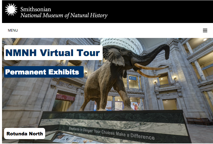 NMNH Virtual Tour: Virtueller Spaziergang durch das Smithsonian