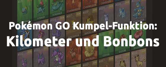 Pokémon GO Kumpel-Funktion: Kilometer und Bonbons